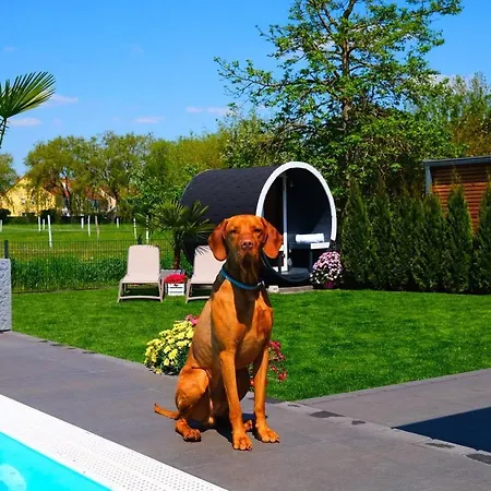 Pool Sauna Entspannung