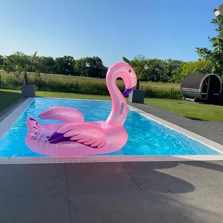 Pool Sauna Entspannung