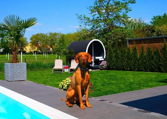 Pool Sauna Entspannung